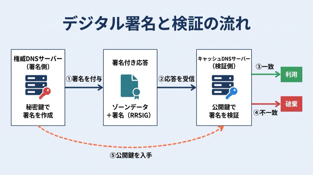 デジタル署名と検証の流れ。権威DNSサーバーが秘密鍵で作った署名（RRSIG）をゾーンデータに付けて応答し、キャッシュDNSサーバーは権威DNSサーバーの公開鍵を入手して署名を検証する。署名が一致すれば利用し、一致しなければ破棄する。