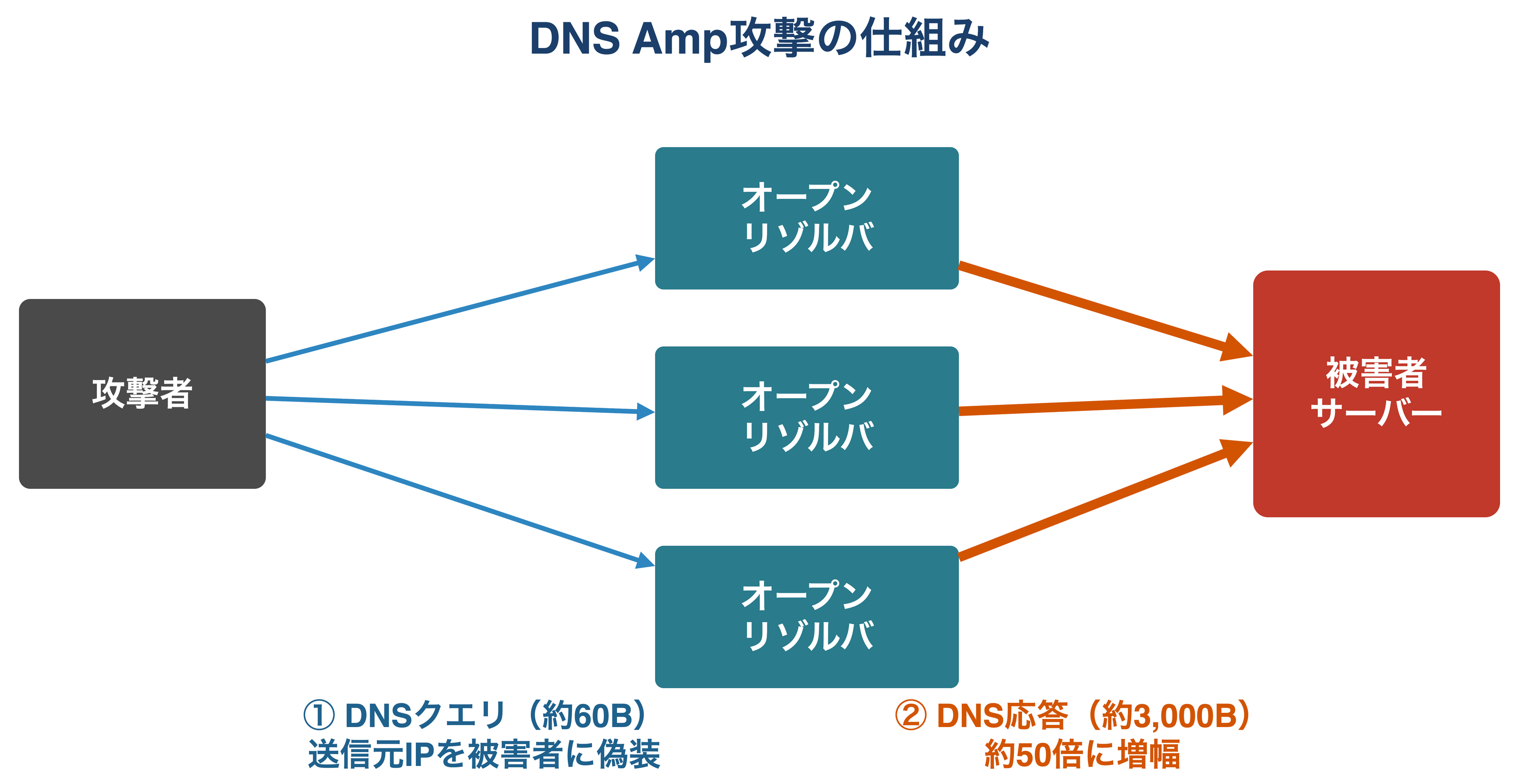 DNS Amplification攻撃の仕組み：攻撃者が送信元IPを被害者に偽装した約60バイトのDNSクエリをオープンリゾルバに送り、約3,000バイトの応答（約50倍）が被害者サーバーに集中する様子