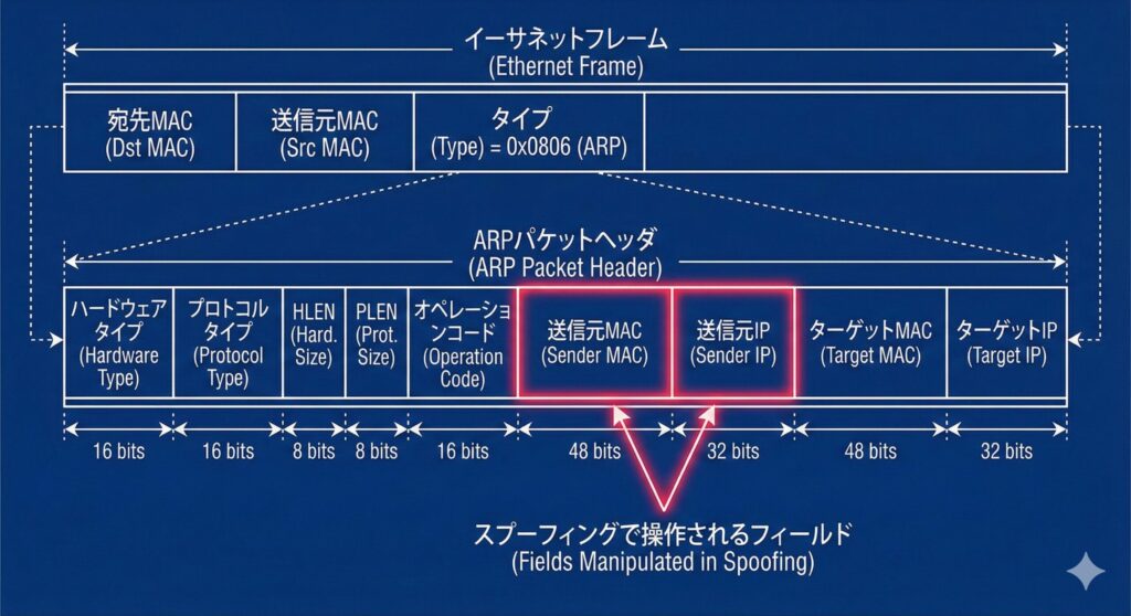 ARPパケットのヘッダ構造。各フィールドの役割と、攻撃者が操作する送信元情報の箇所を明示
